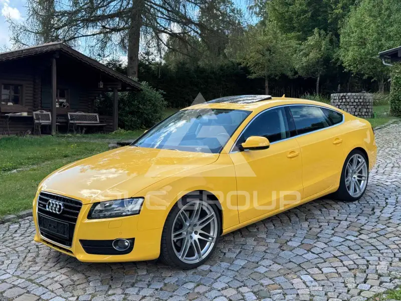 2010 Audi A5