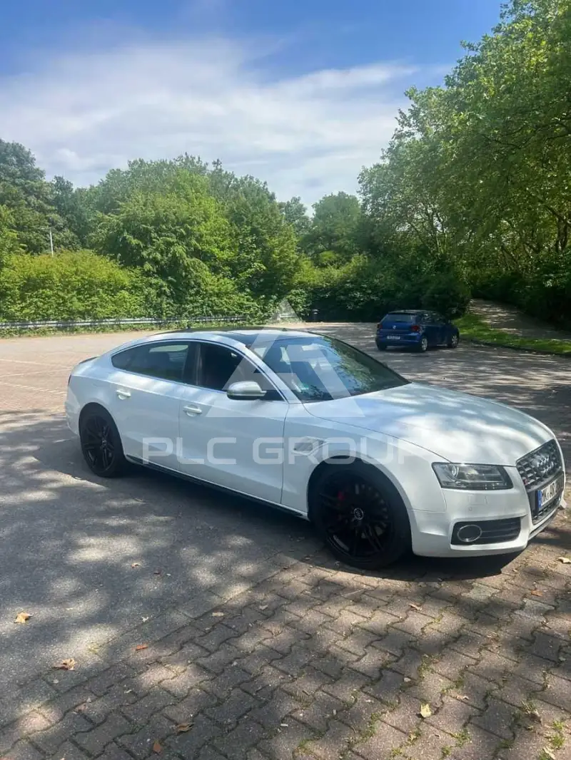 2010 Audi S5