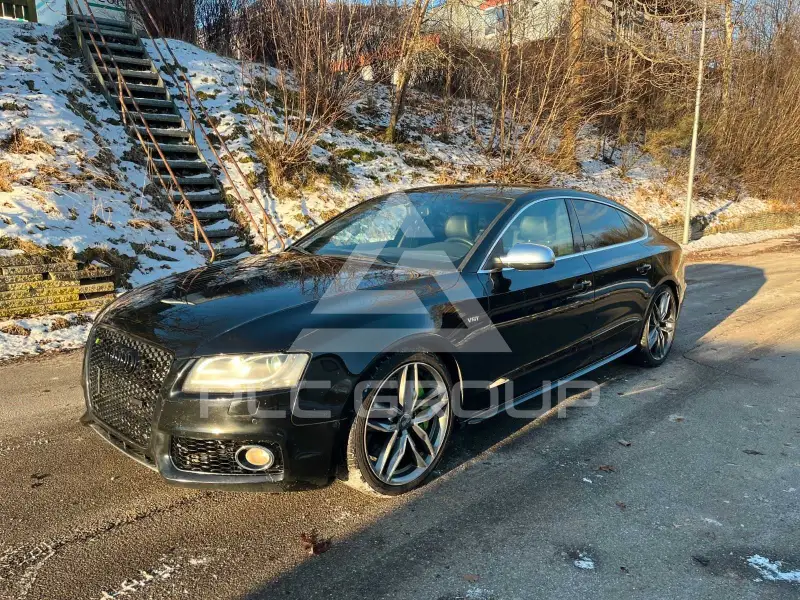 2010 Audi S5