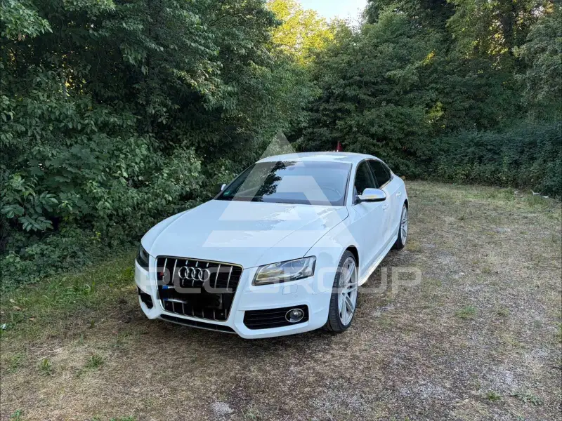 2010 Audi S5
