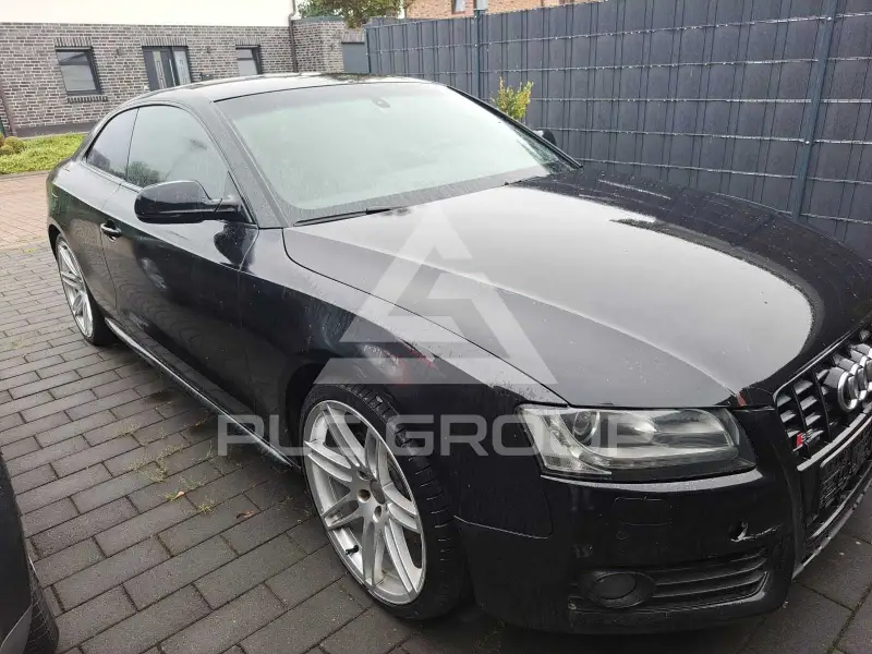 2010 Audi S5