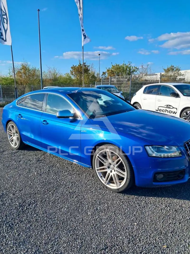 2010 Audi S5