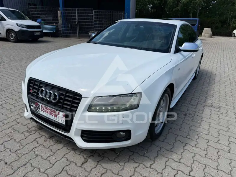 2010 Audi S5