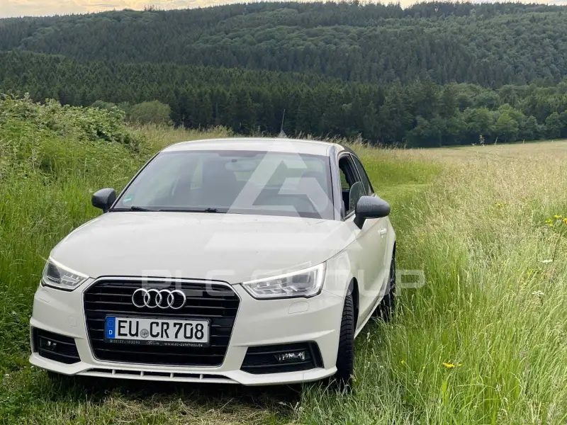 2010 Audi A1