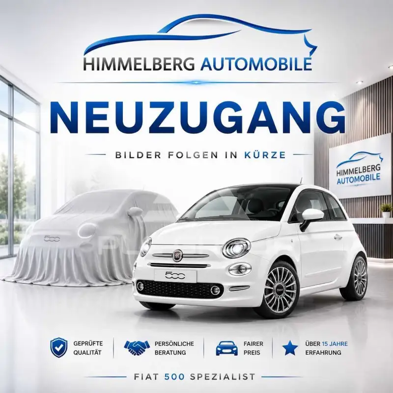 2010 Fiat 500