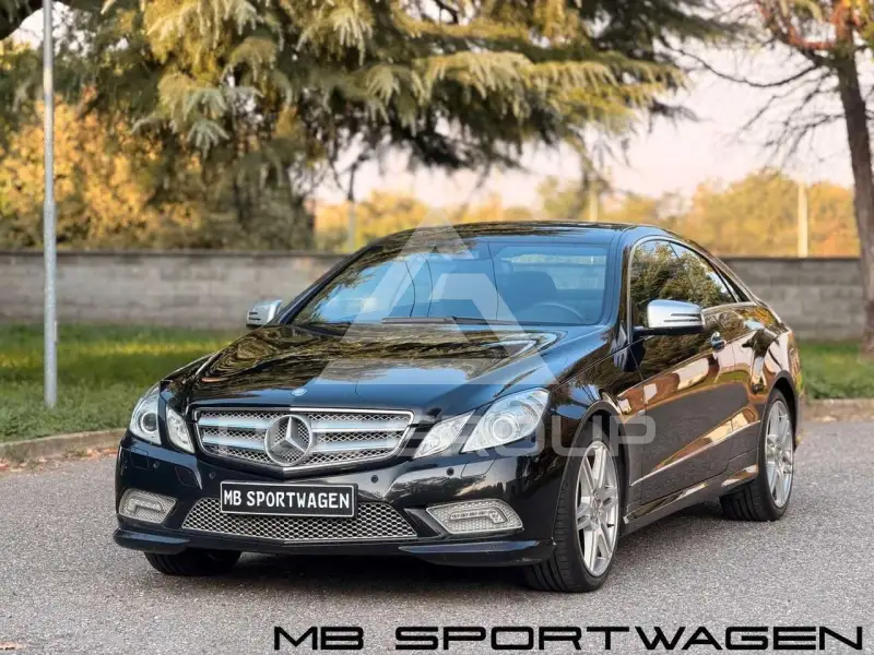 2010 Mercedes Benz E 250