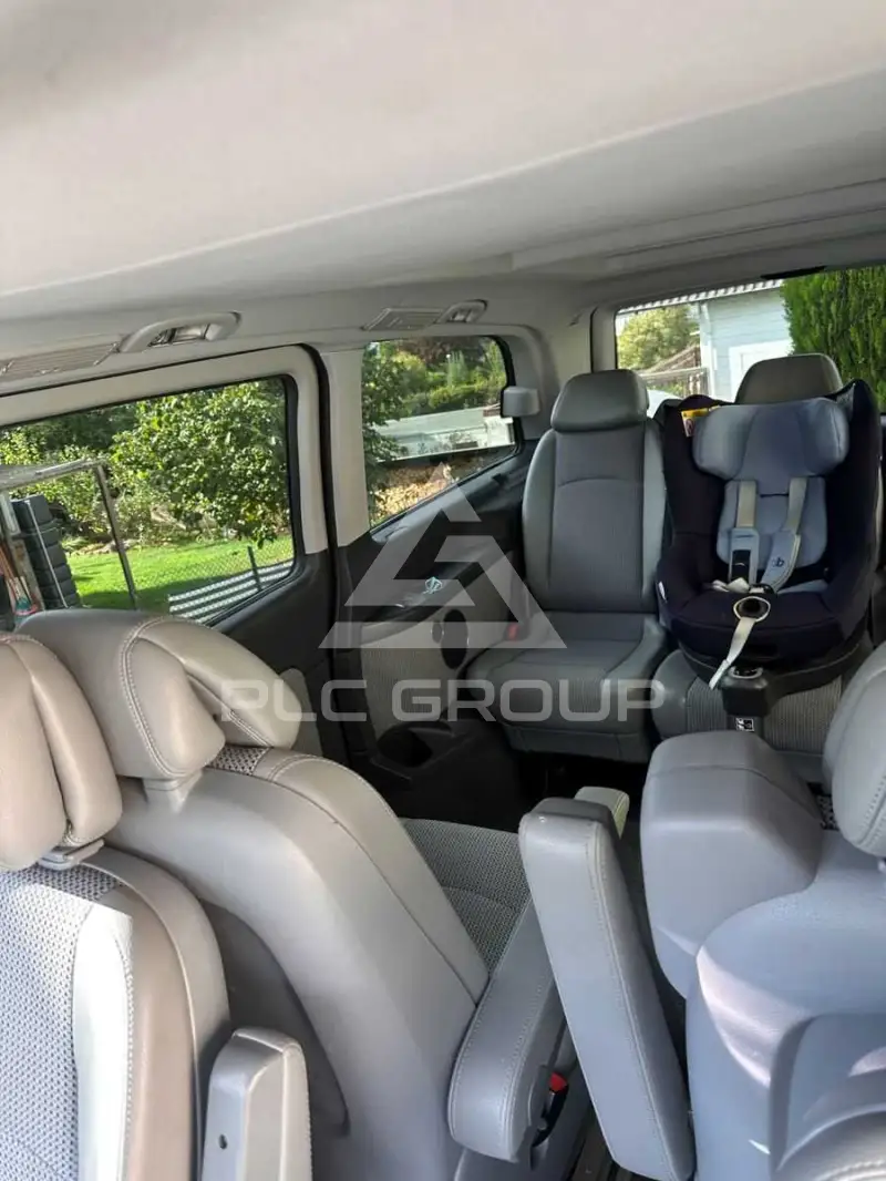 2010 Mercedes Benz Viano
