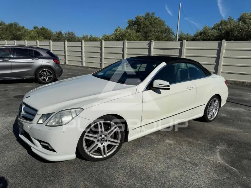 2010 Mercedes Benz E 220