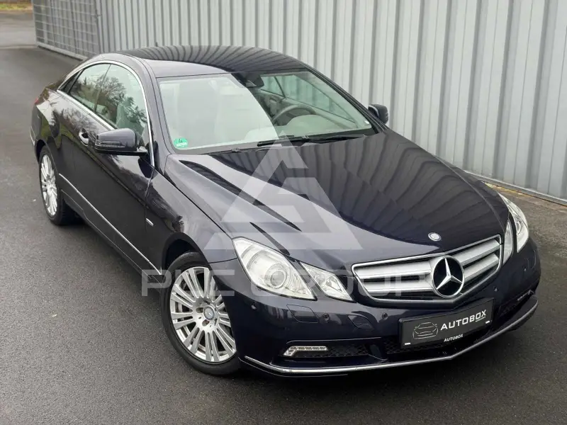 2010 Mercedes Benz E 220