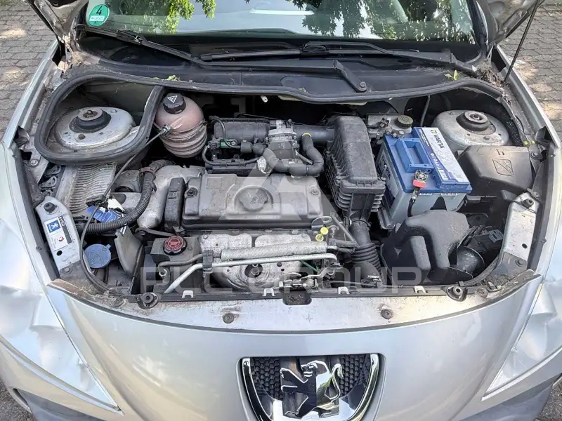 2010 Peugeot 206