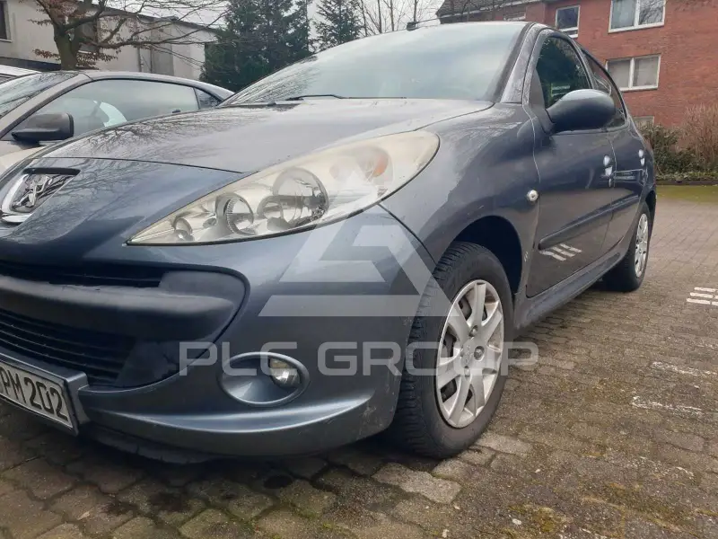 2010 Peugeot 206