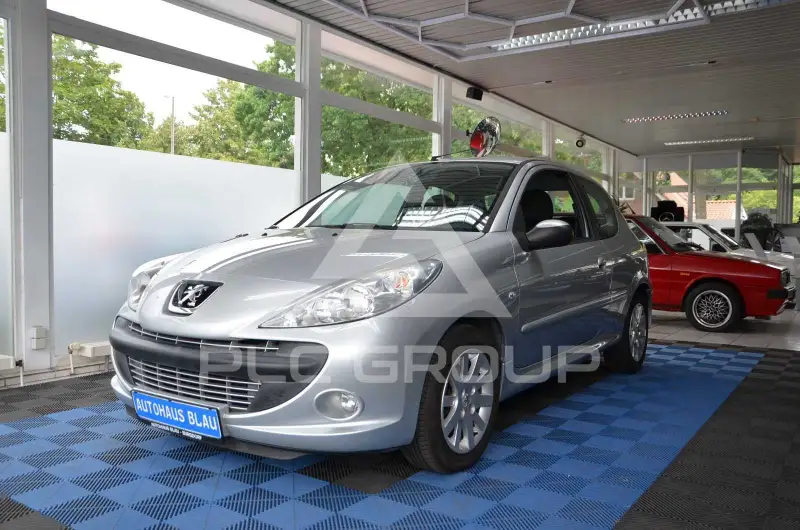 2010 Peugeot 206