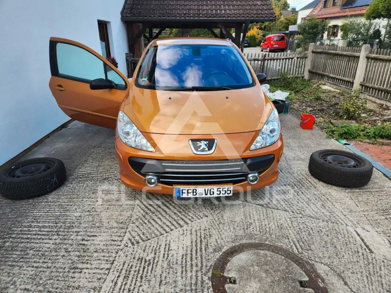 2010 Peugeot 307