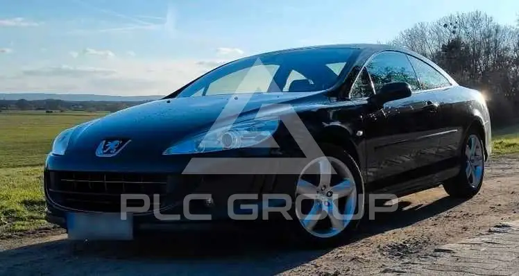 2010 Peugeot 407