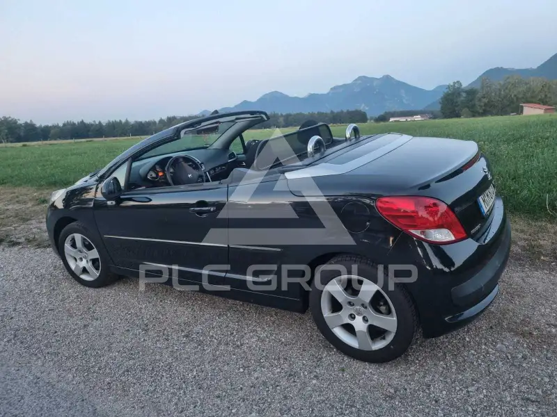 2010 Peugeot 207