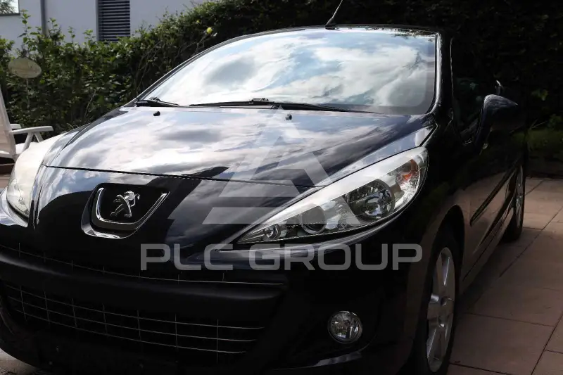 2010 Peugeot 207