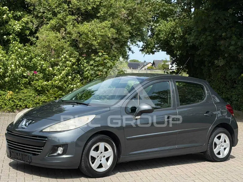 2010 Peugeot 207
