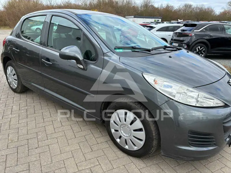 2010 Peugeot 207