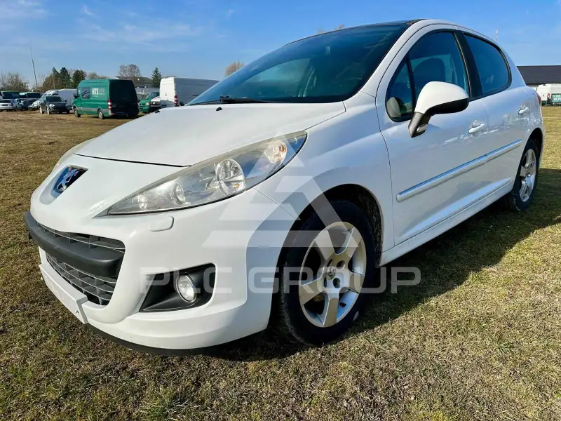 2010 Peugeot 207