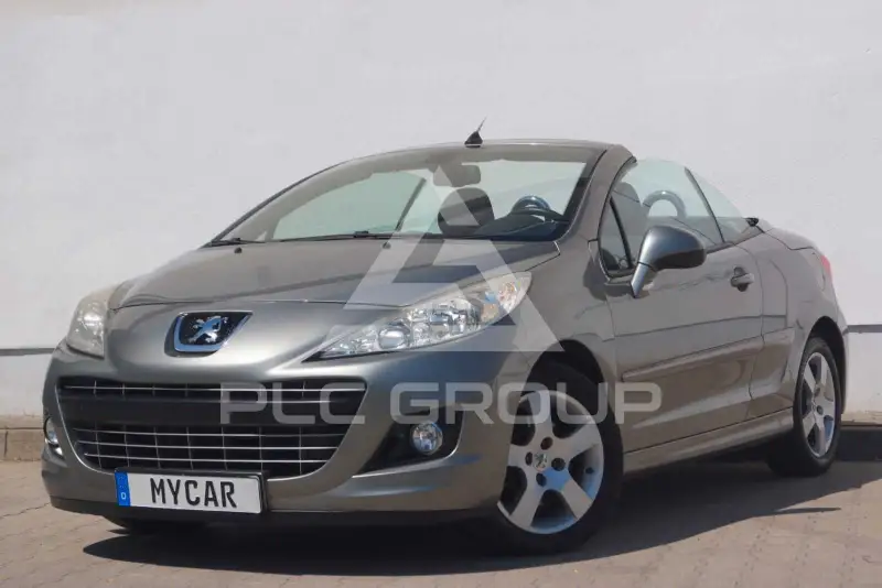 2010 Peugeot 207