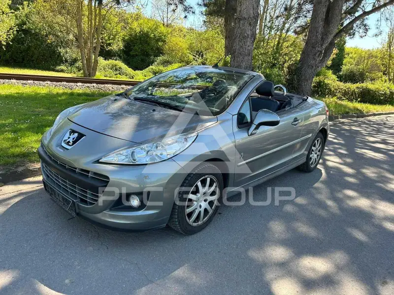 2010 Peugeot 207