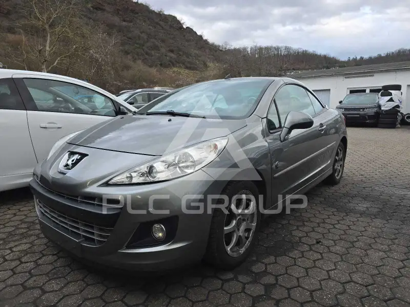 2010 Peugeot 207
