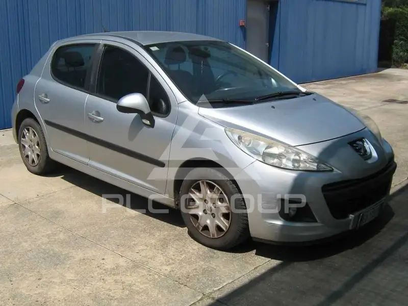 2010 Peugeot 207