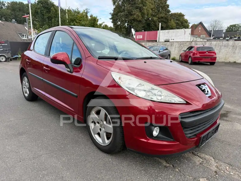 2010 Peugeot 207