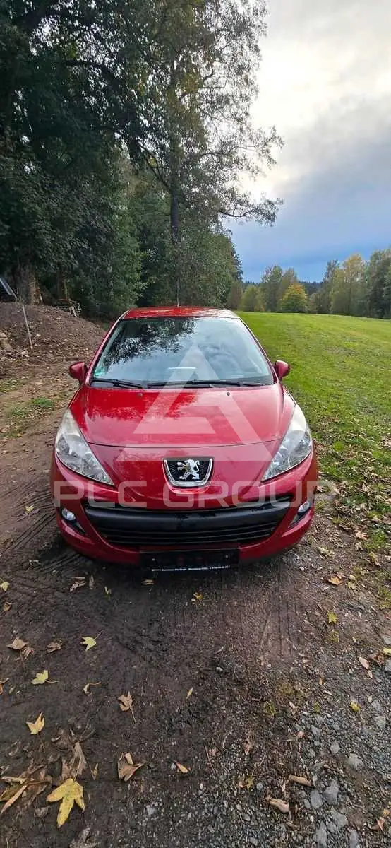 2010 Peugeot 207
