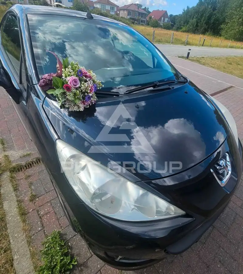 2010 Peugeot 207