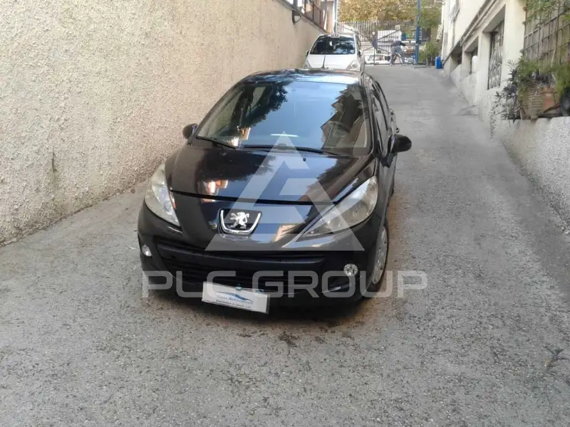2010 Peugeot 207