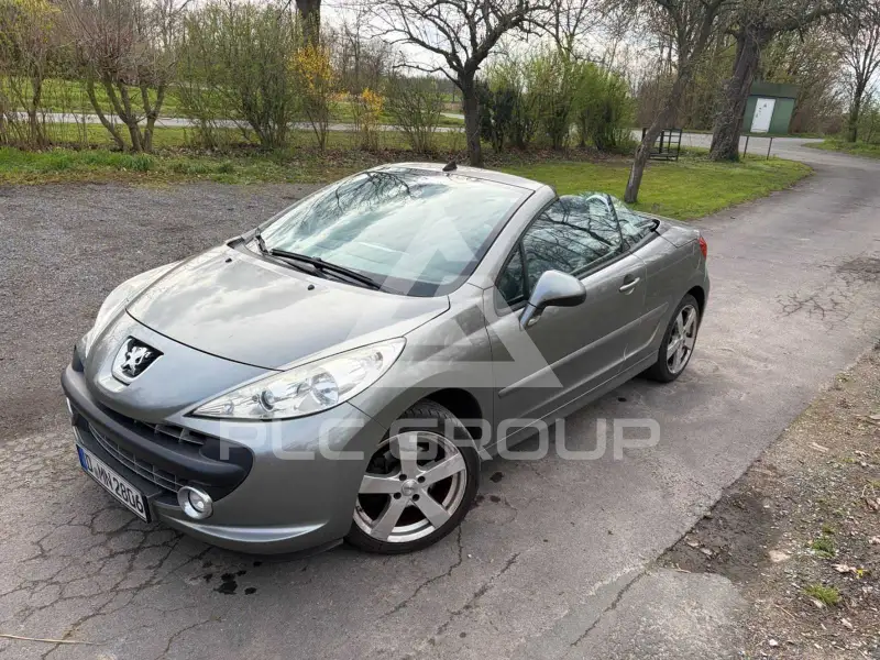 2010 Peugeot 207