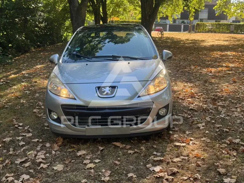 2010 Peugeot 207