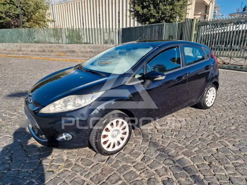 2010 Ford FIESTA