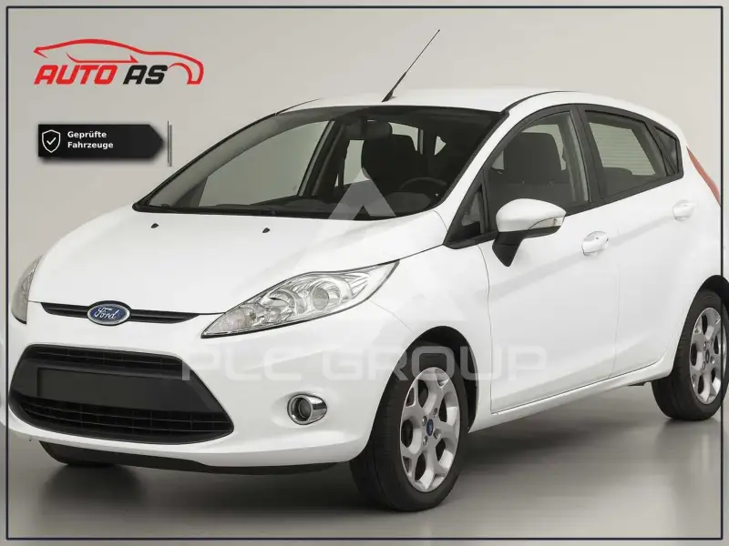 2010 Ford FIESTA