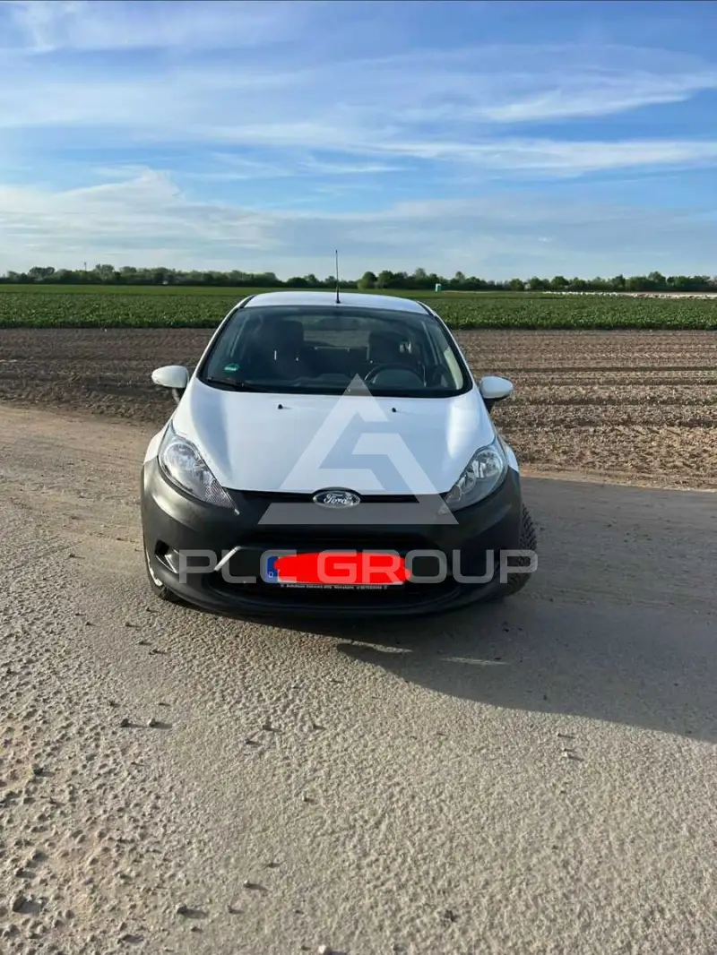 2010 Ford FIESTA