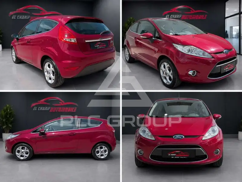 2010 Ford FIESTA