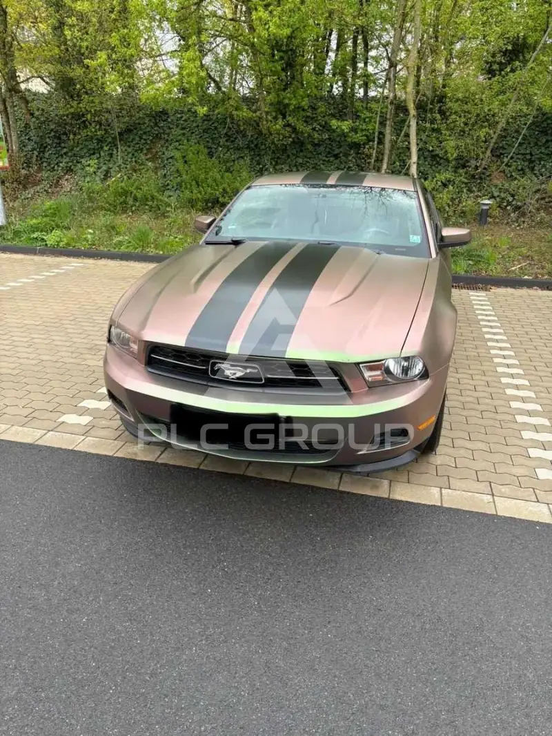 2010 Ford MUSTANG