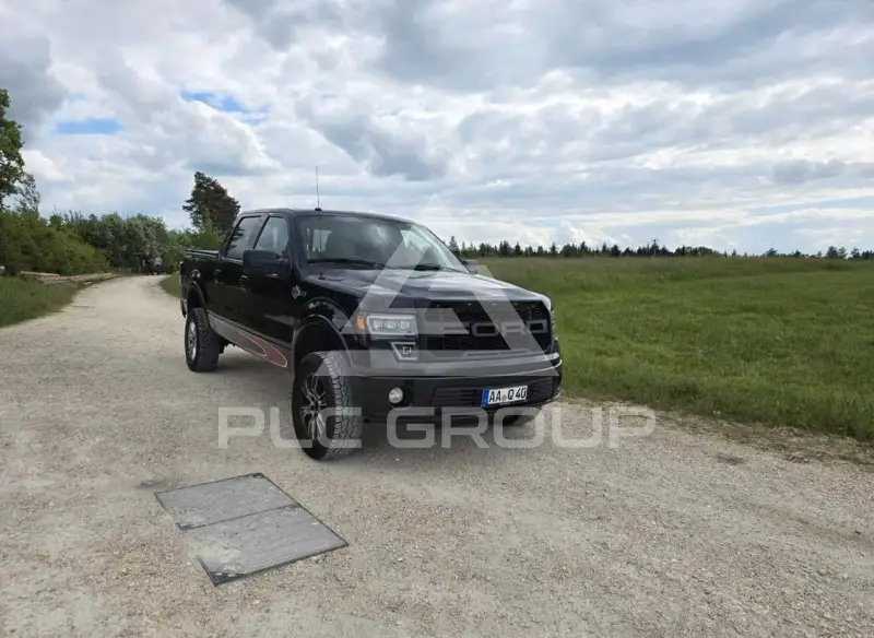 2010 Ford F-150