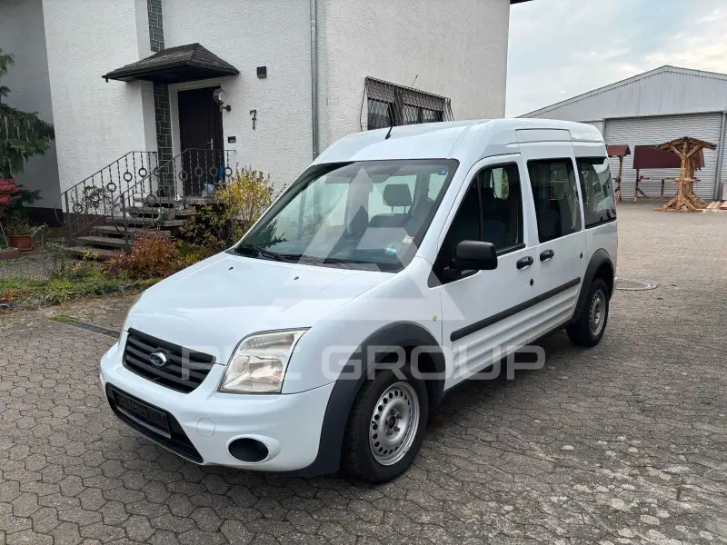 2010 Ford Tourneo