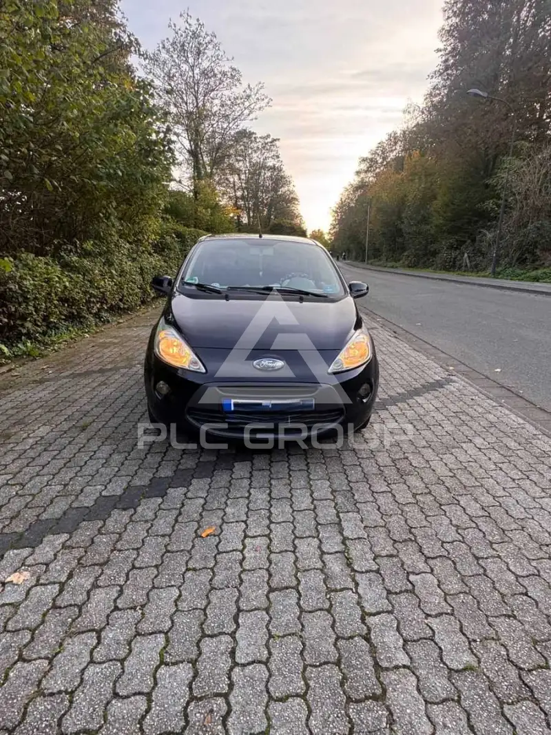 2010 Ford KA