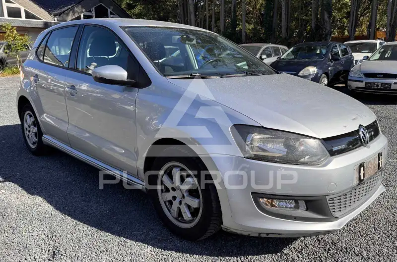 2010 Volkswagen Polo