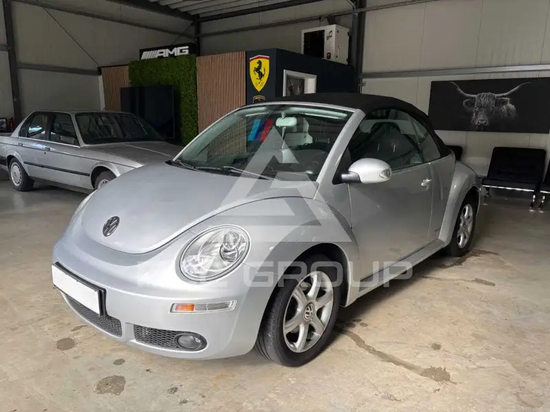2010 Volkswagen BEETLE