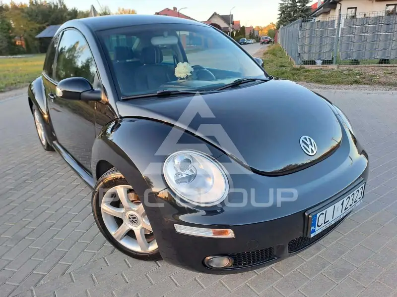 2010 Volkswagen BEETLE