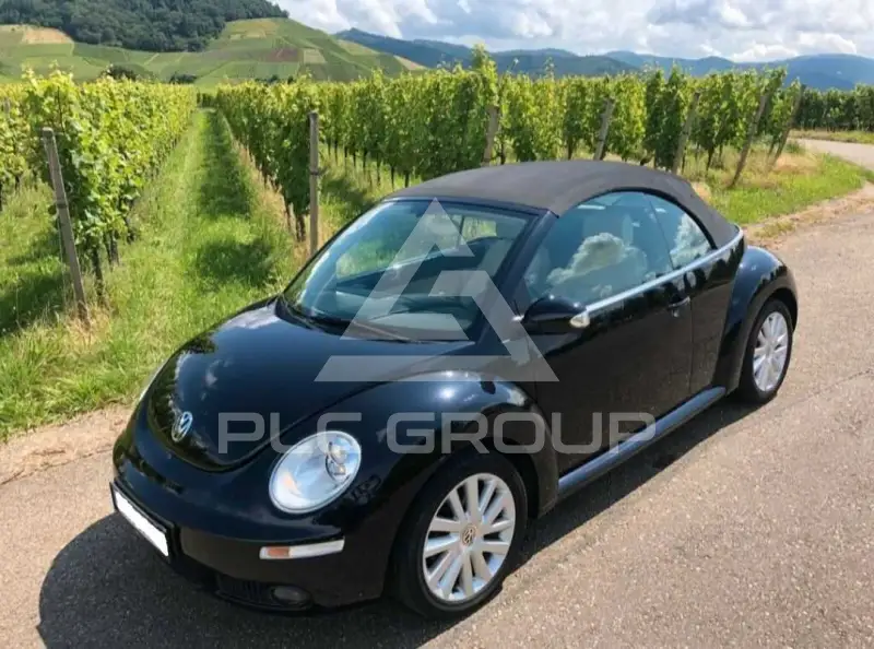 2010 Volkswagen BEETLE