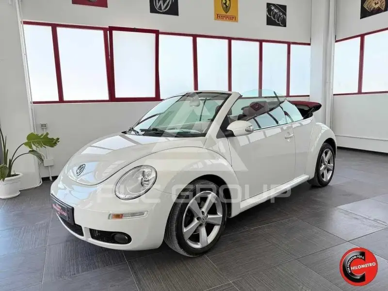 2010 Volkswagen BEETLE
