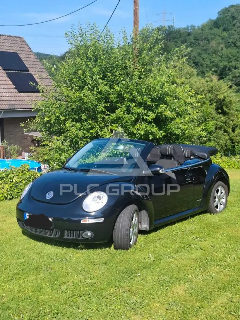 2010 Volkswagen BEETLE