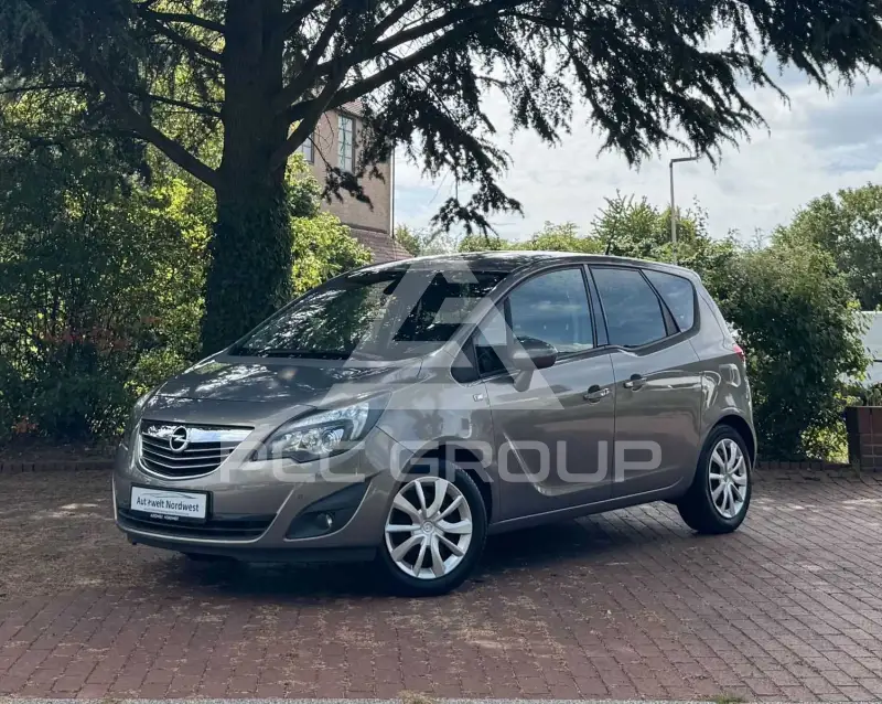 2010 Opel MERIVA