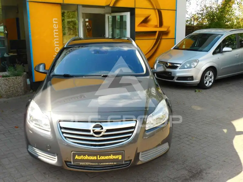 2010 Opel Insignia