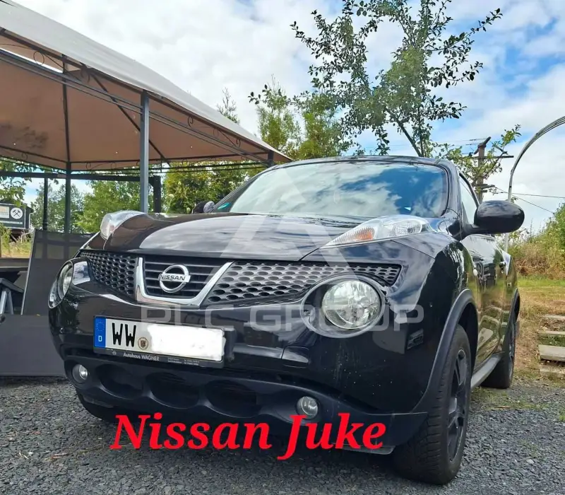 2011 Nissan Juke